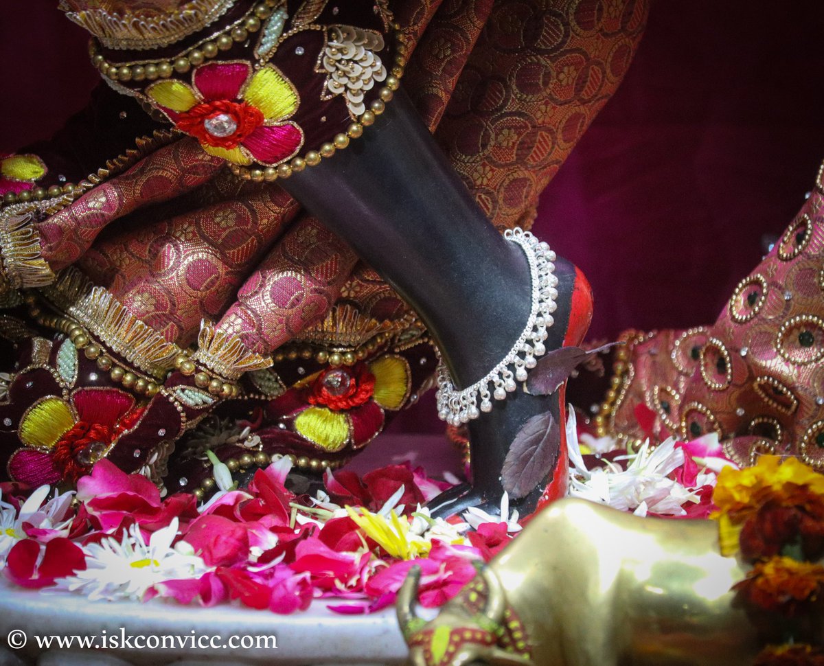 iskconvicc's tweet photo. Śrī Śrī Radha Gopal Darshan - 9/1/2024 @iskconvicc

#iskconvicc #iskconvaranasi #india #tuesday #tuesdaydarshan #shriradhe #shrikrishna #gaurahari #brown #manglaaarti #shringaar #shricharan #iskcontemple #iskconchowpatty #iskcondwarka https://t.co/dyi4VveBzI
