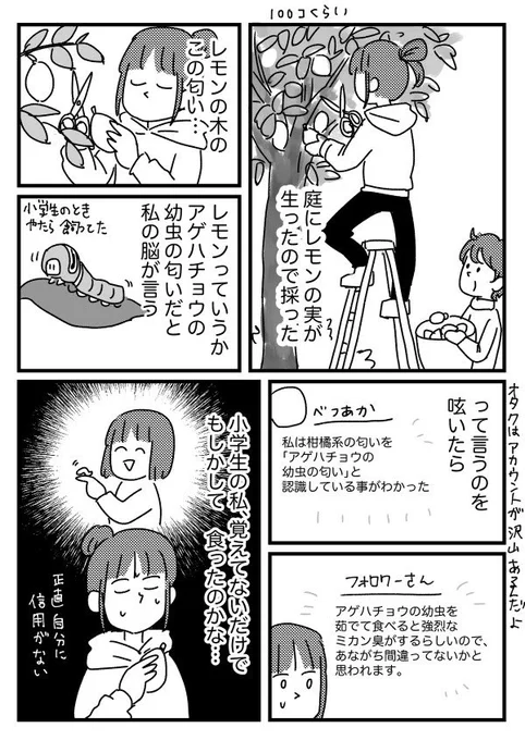思い出の
×ファーストキッスの香り
⚪︎イモムシの香り
【再掲】 