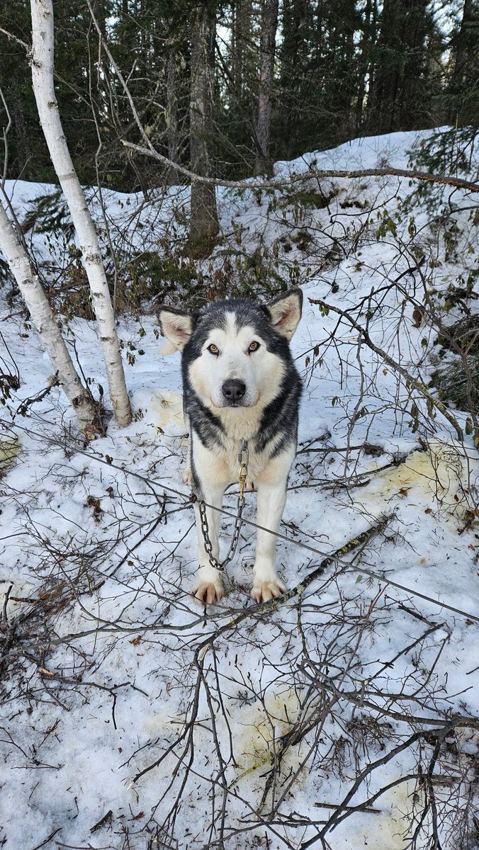 Clémence Fontanive tweet media