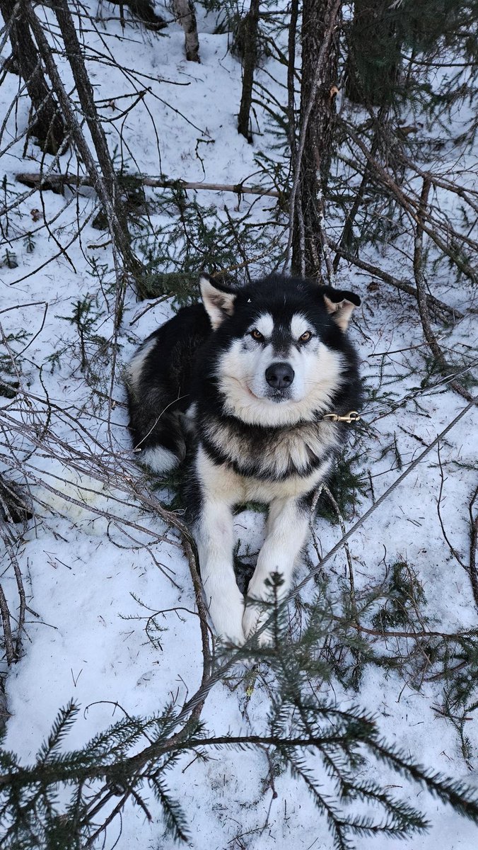 Clémence Fontanive tweet media