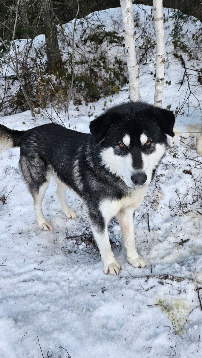 Clémence Fontanive tweet media