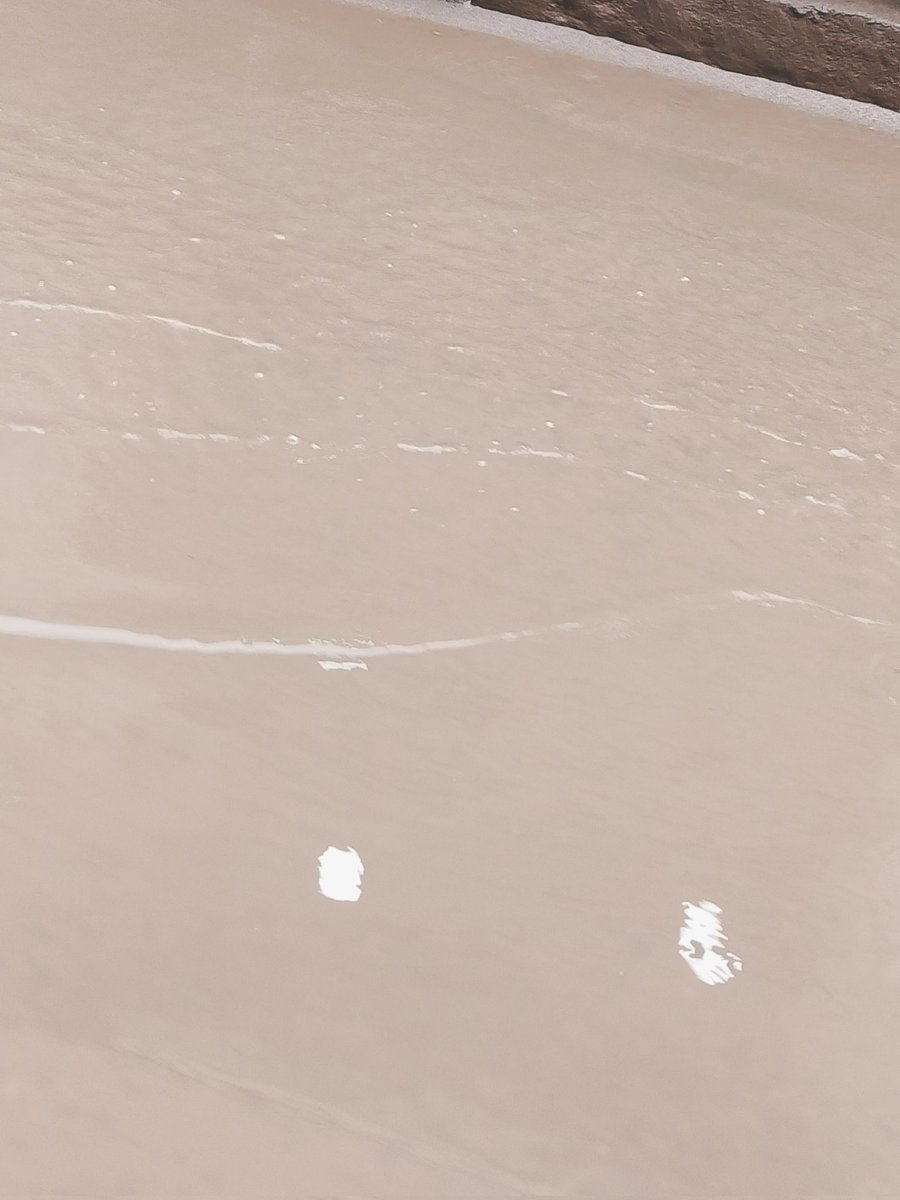 cryptogod78's tweet photo. "📢 Urgent: #SewerIssue in DLF Phase 4, Chakkarpur, 28 Sector. Sewer water flooding roads for days, causing inconvenience to residents & businesses. Requesting prompt action from @mlkhattar, @anilvijminister,@PMOIndia ,and municipal authorities. #Gurgaon #InfrastructureConcern" https://t.co/1vMd15gmi9