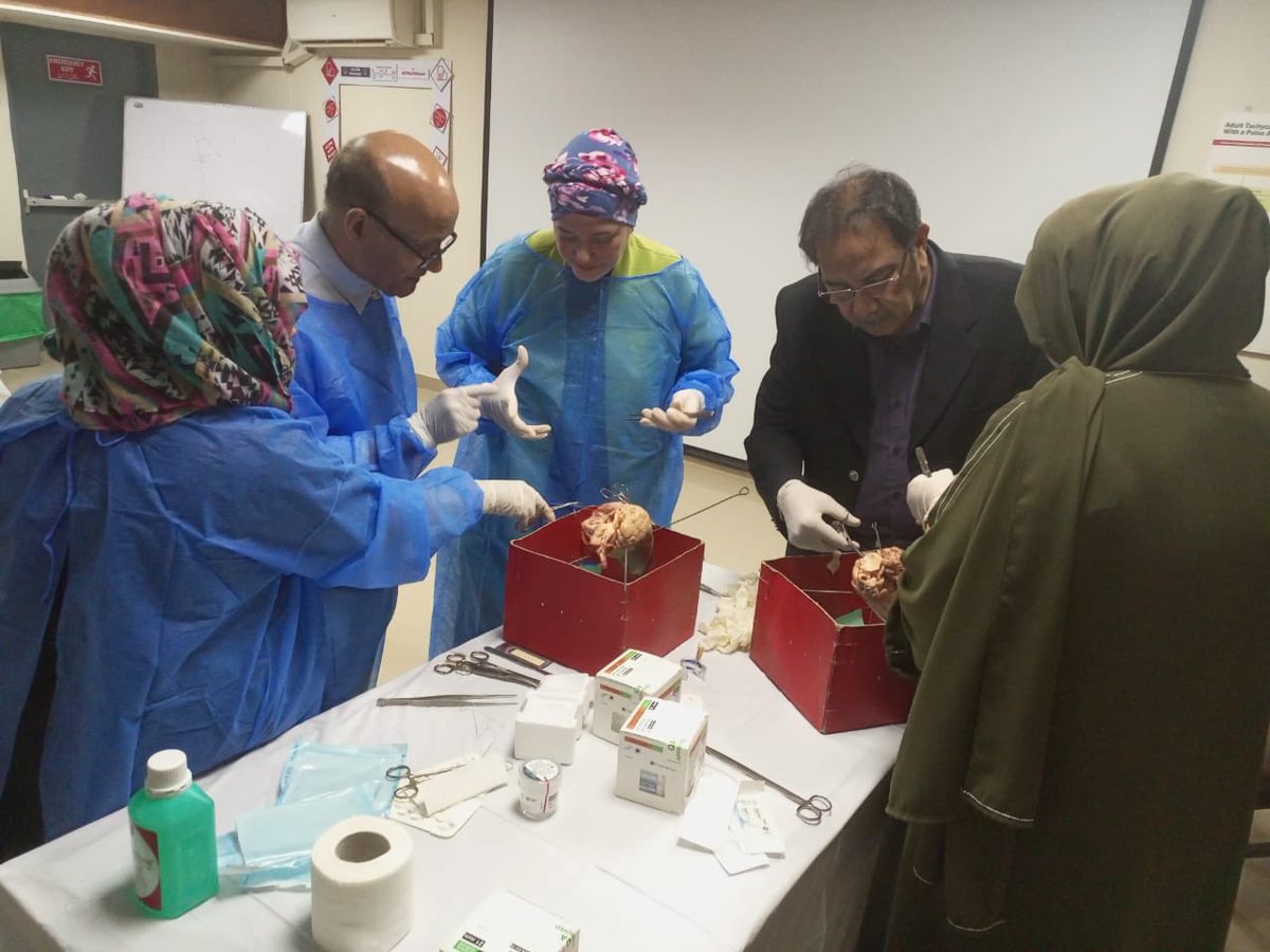 Reflecting on a successful ‘Aortic Valve Replacement and Aortic Root Enlargement (Wet Lab)’ session held at NICVD Karachi last Saturday, January 6, 2024.

#NICVD #Cardiology #WetLab