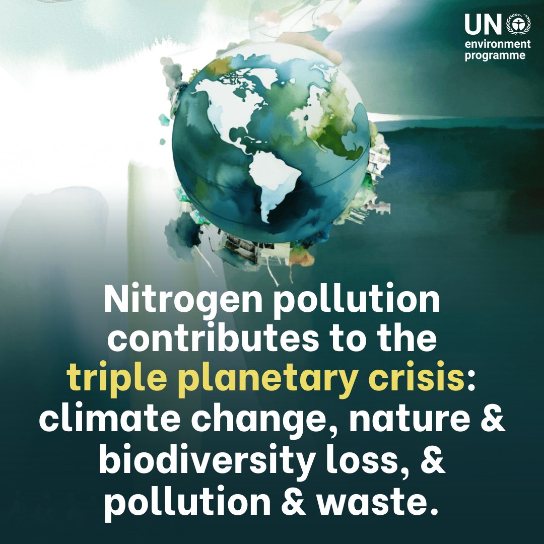 Countries must step up their joint efforts to reduce nitrogen waste by 2030.

From addressing the sources of nitrogen pollution to adopting a strategy to manage nitrogen at every step of its cycle, discover the different ways to #BeatNitrogenPollution: unep.org/interactives/b…