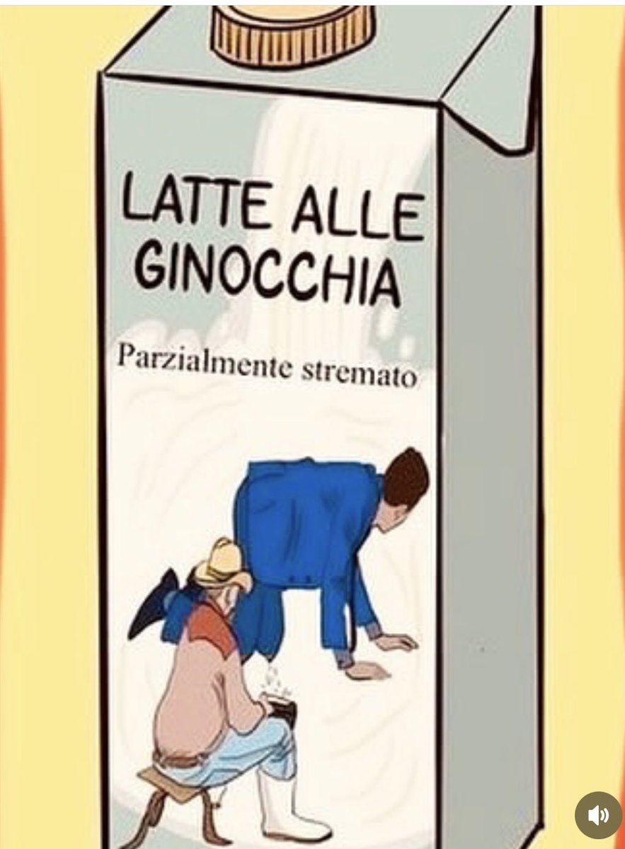 Kikabread🫶🏻🧅 tweet media