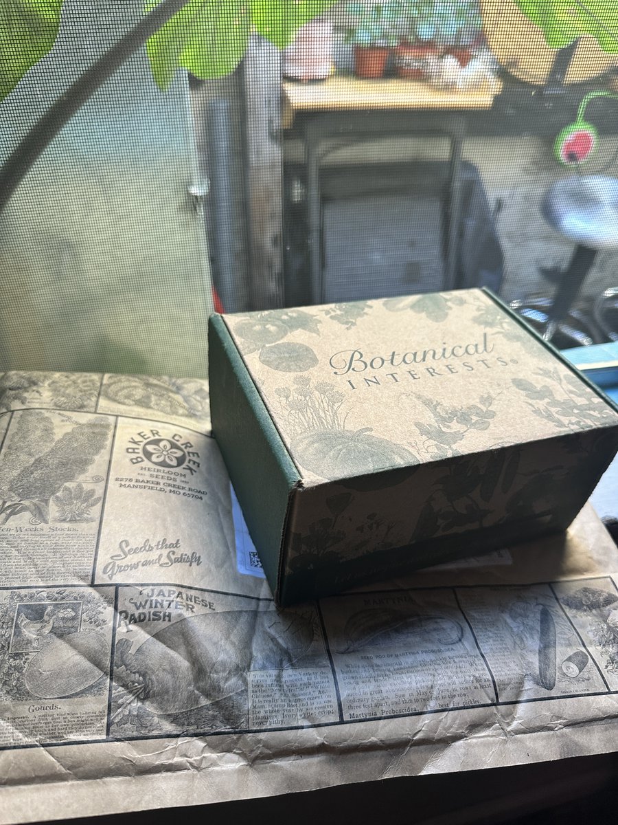 grasspowered's tweet image. Starting your rare plants and top-tier veggies of botanical interest from seed is like baking a gourmet cake from scratch – way more satisfying than store-bought mix. Sorry, Amazon, you're great for many things, but u can't deliver a green thumb... yet.🪴link.medium.com/WPOd3Jv7cGb