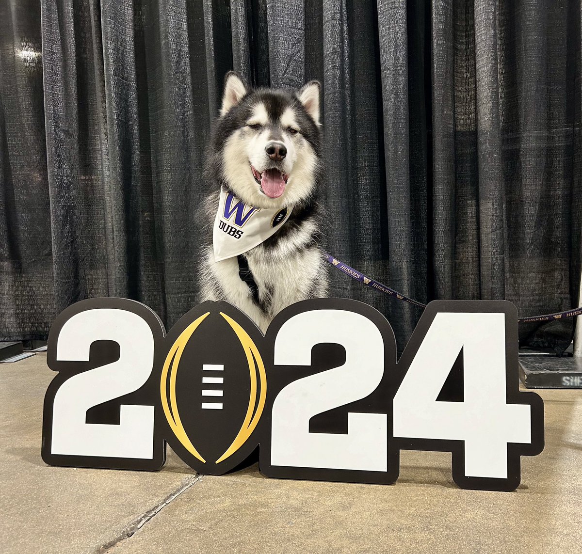 DubsUW's tweet photo. I had so much fun this season and am so proud of my friends! 🐾 https://t.co/3lyOQBByR3