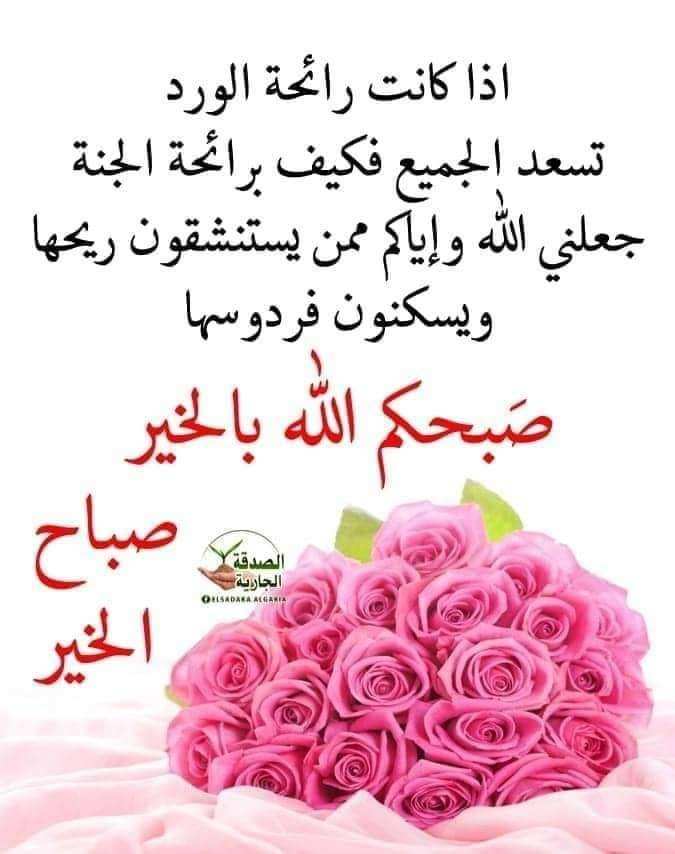 ابويوسف الهلالي (@abwywsfalhlaly) on Twitter photo 