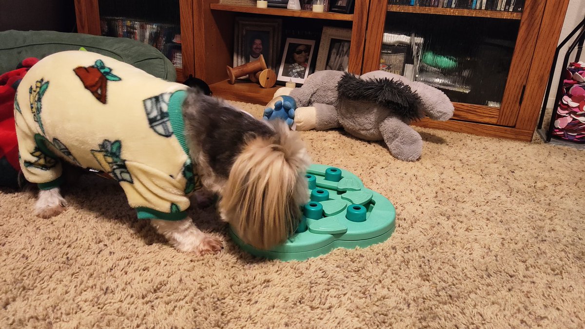 Making him work for those snacks #shihtzu #hidenslidegame #hidenslidepuzzledoggame #themandalorian #starwars