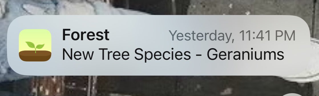 jellyfable's tweet photo. @forestapp_cc I have been getting this notification nonstop since yesterday no matter how many times I dismiss it https://t.co/AtJ6OUAJBy