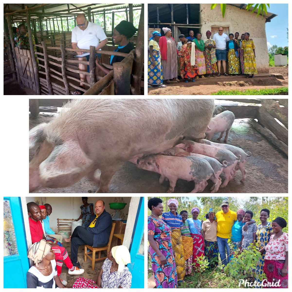 That time of  a year when you go back to check on your partners to see how they have improved their lives through the little support they got from <a href="/MTNRwanda/">MTN Rwanda</a> CSI #CWiB#4.      💛 to see people's life changing. 💛my Job  🫡 to CSI Chairperson <a href="/MapsBodibe/">Mapula Bodibe</a>  &amp; team