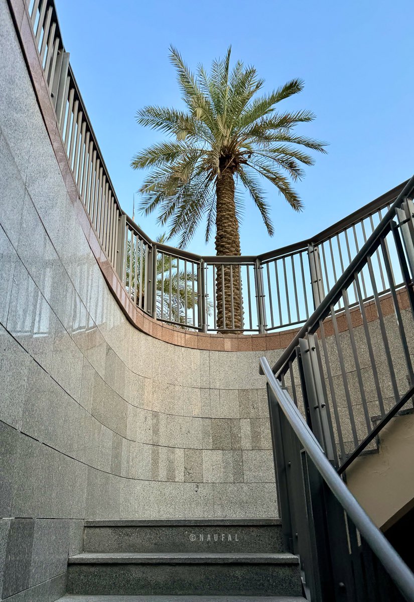mqnaufal's tweet photo. Photo of The Day 2024 - 9/366
Subwayscape
#PhotoOfTheDay #POTD #POTD2024 #Photography #Dubai #DubaiMall #downtowndubai #subway #datetree #palmtree #tree #staircase #stairs #streetphotography #UAE https://t.co/GRdJZ7bOhW