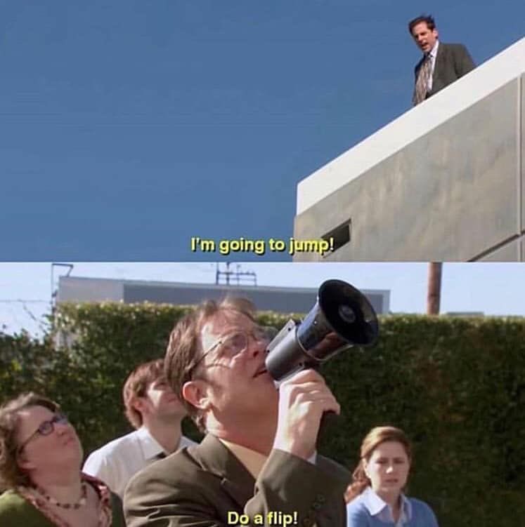 Anatomie d’une Schrute