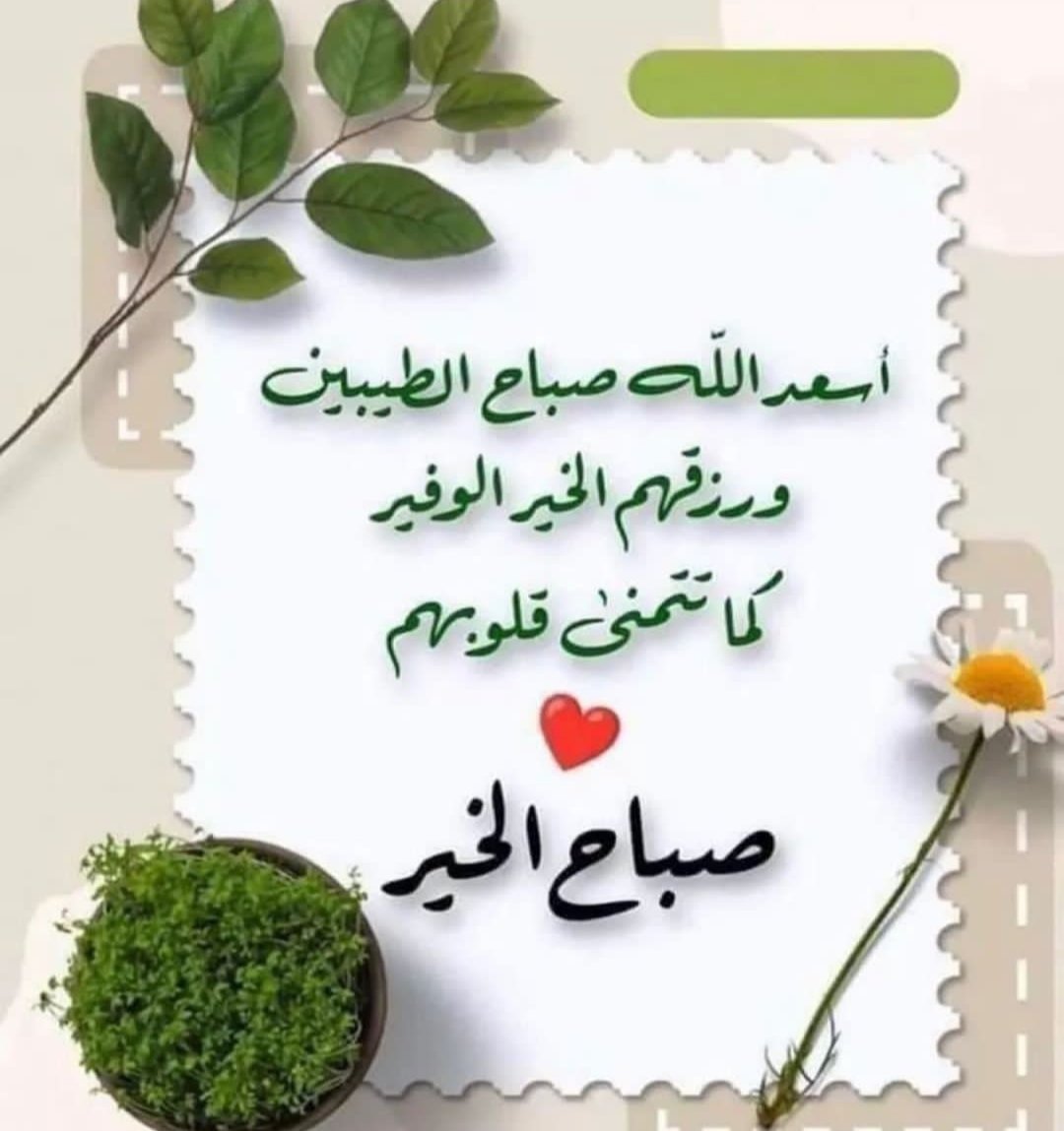 يسعد صباحكم....