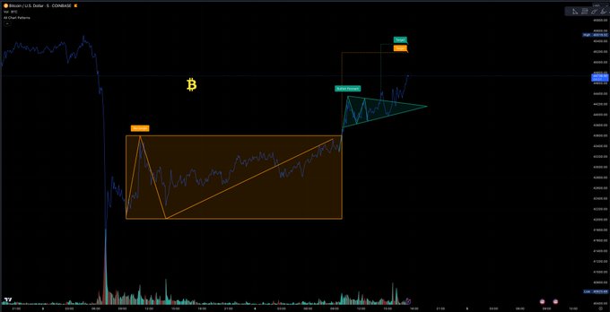 suzan çelik tweet media