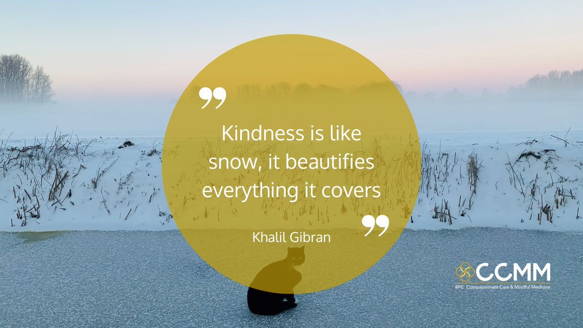 BFC Compassionate Care & Mindful Medicine tweet media