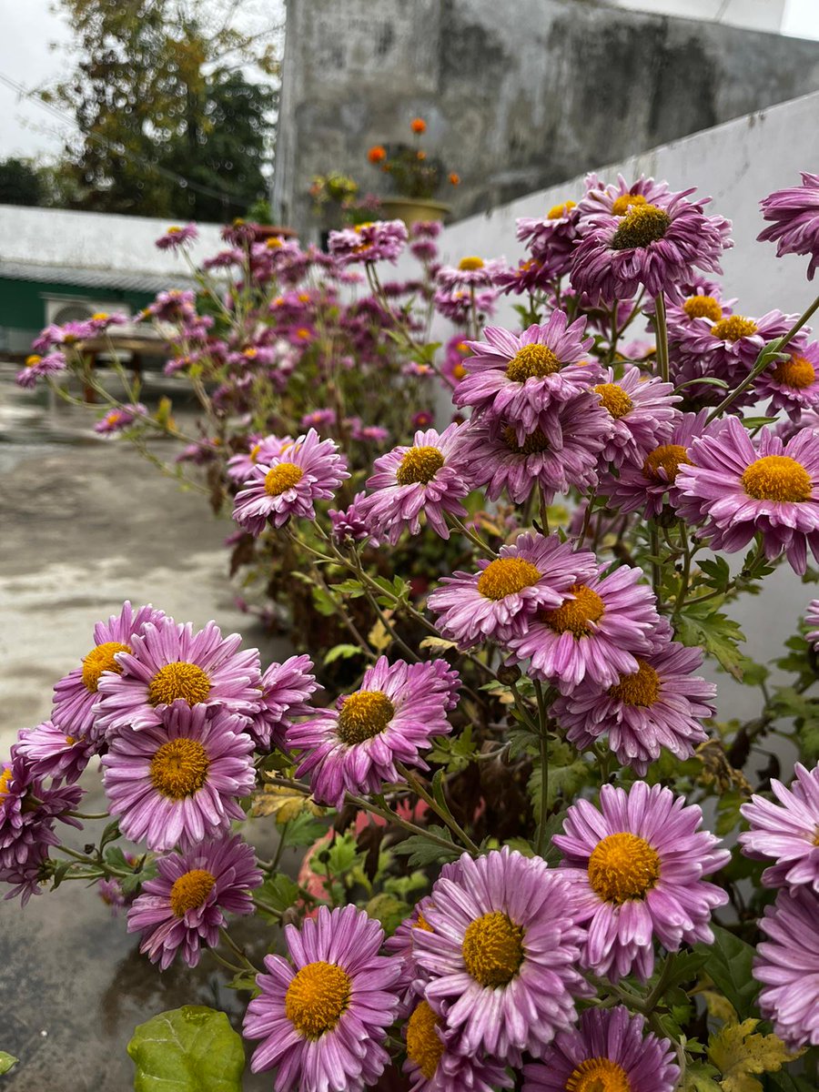 sudharun49's tweet image. खिलखिलाने उठ्ठे हैं.. 
ये सब के सब, 
अभी-अभी तुम यहाँ से 
हँसते हुए निकली हो क्या  ?? 
#SparshClick 
#HumTum #ChillyLucknow