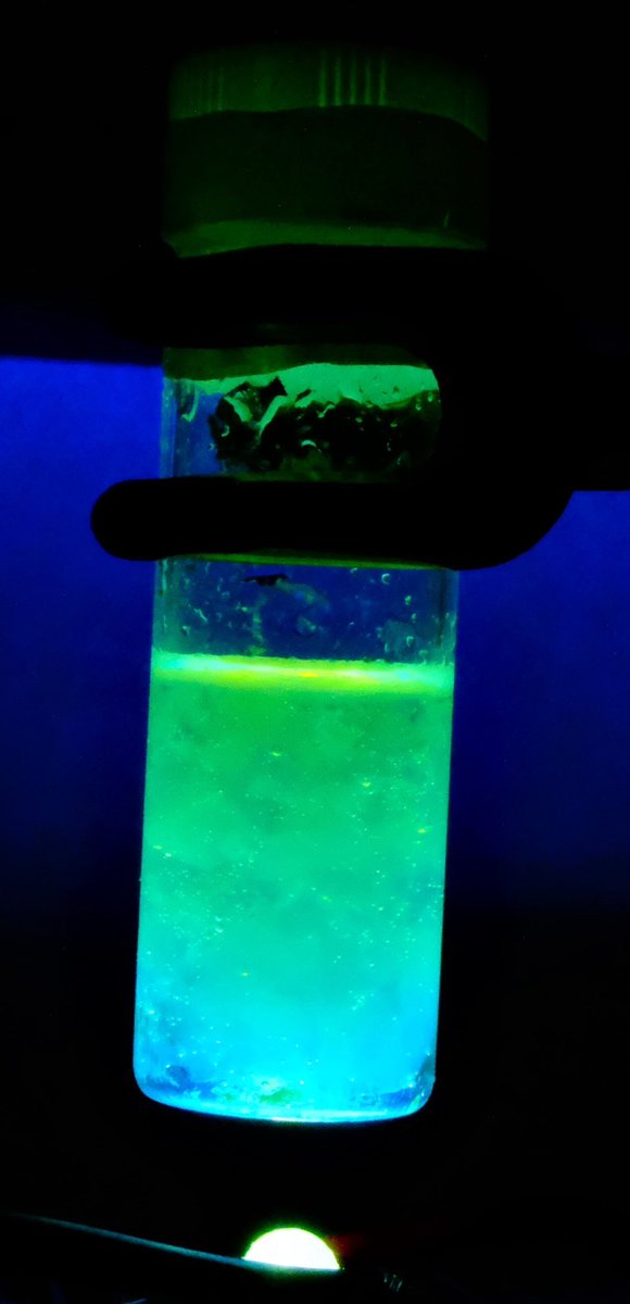 Luminescence metamorphosis “a spectral marvels”
#CENChemPics
#Chemistry #Chem