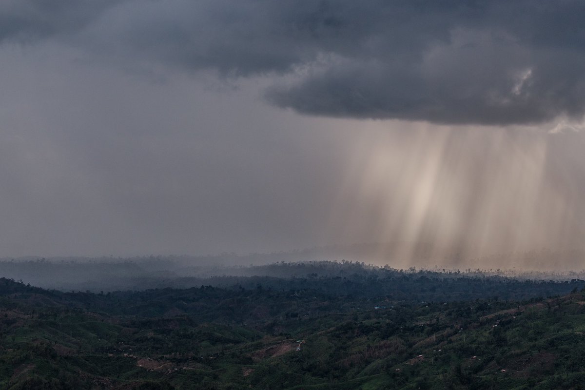 aliproy's tweet photo. Shining rain.
#BeautifulBangladesh https://t.co/uAy4QNesBq