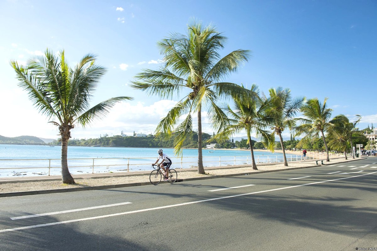 NewCaledonia's tweet photo. ๐ #LemonBay is a #LocalFavourite for its #tranquillity and #StunningViews. Every moment here feels like a sip of #TropicalParadise!
More on Noumea's Bays here๐ฑ๏ธ https://t.co/0drcDpBMKh
๐ Noumea, New Caledonia
๐ธ L -ยฉ Toko |NCT
๐ธ R -ยฉ @anaellechretienoff & @stevenlqr |NCT https://t.co/7SELCCm70O