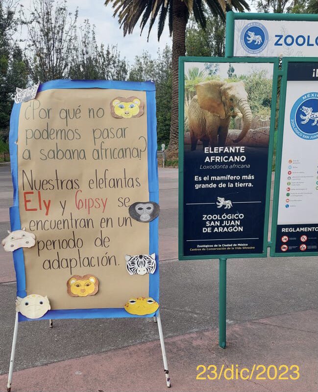 Abriendo jaulas & abriendo mentes tweet media