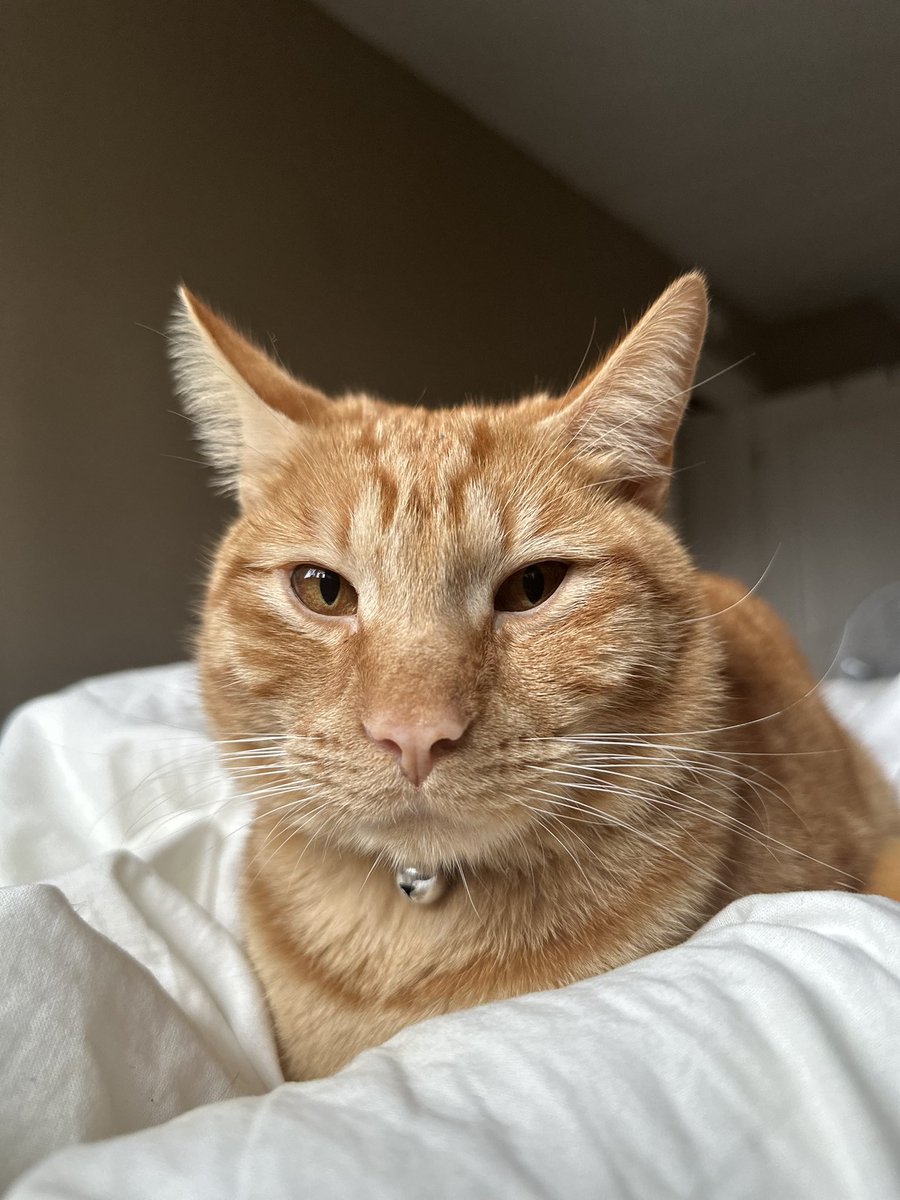 geo/giselle 🫡 tweet media