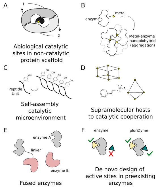 Eng_MDPI's tweet image. Discover the latest review on protein engineering, exploring pluriZymes and pluriZyme-like technology, featuring the FraC design or PET nanoparticle degradation. #ProteinEngineering #PolymerScience mdpi.com/2625404 #mdpieng via @MDPIOpenAccess
