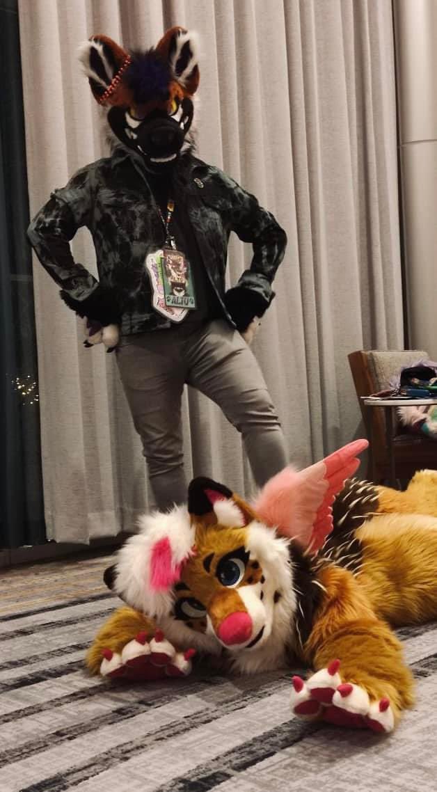 maw munch 🗡️ @ FE 🇨🇦 tweet media