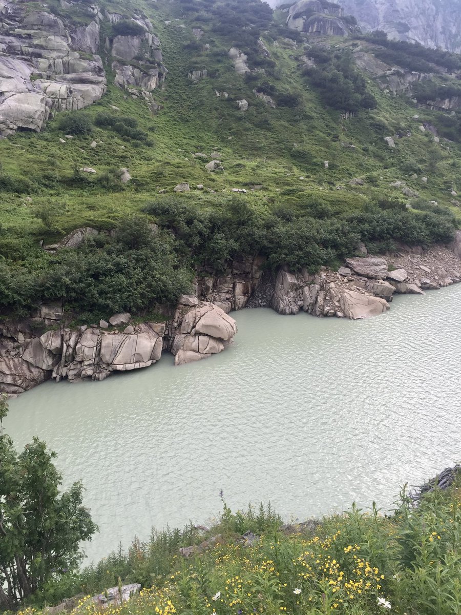 tourist_cul's tweet photo. #صباح_الخير 🌹

بحيرة Räterichsbodensee  

في  Guttannen ، Oberhasli
ويتبع كانتون ( إقليم ) برن  🇨🇭 #Switzerland
متصلة بنهر الآر أحد روافد نهر الراين
المساحة :  0.67 كيلومتر مربع
قمة في الجمال 😍 توقفت عندها أثناء مروري بالممر الجبلي grimsel pass 

وهذي إحداثيات مواقف السيارات 📍

https://t.co/eVstrf221j