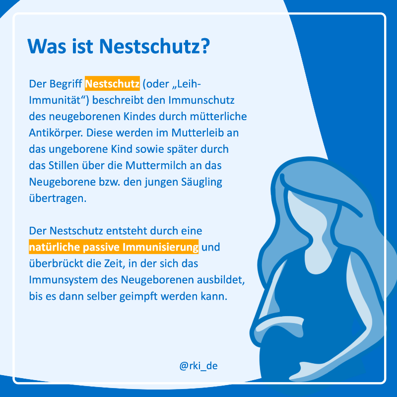 rki_de's tweet photo. In der Schwangerschaft werden mütterliche #Antikörper auf das Baby übertragen. Dadurch wird das #Immunsystem des Kindes gestärkt.

In unserer Reihe #WasIstEigentlich erklären wir, was #Nestschutz bedeutet, wie er funktioniert und wie lange er anhält.