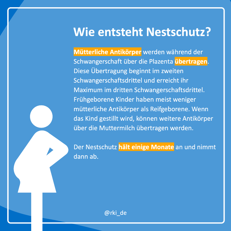 rki_de's tweet photo. In der Schwangerschaft werden mütterliche #Antikörper auf das Baby übertragen. Dadurch wird das #Immunsystem des Kindes gestärkt.

In unserer Reihe #WasIstEigentlich erklären wir, was #Nestschutz bedeutet, wie er funktioniert und wie lange er anhält.