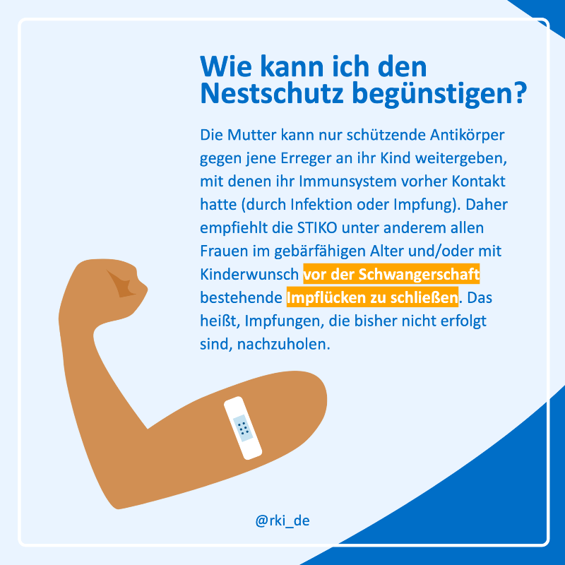 rki_de's tweet photo. In der Schwangerschaft werden mütterliche #Antikörper auf das Baby übertragen. Dadurch wird das #Immunsystem des Kindes gestärkt.

In unserer Reihe #WasIstEigentlich erklären wir, was #Nestschutz bedeutet, wie er funktioniert und wie lange er anhält.