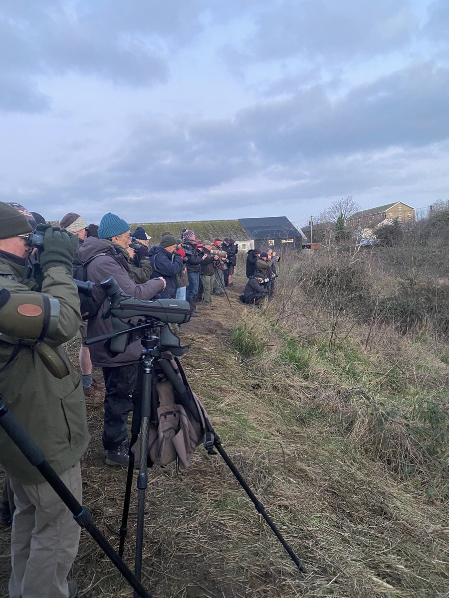 Thanks to the finder of the Northern Waterthrush <a href="/SimonWood27/">Simon Wood</a> for still making many birders very happy this morning with it still showing well by the sluice