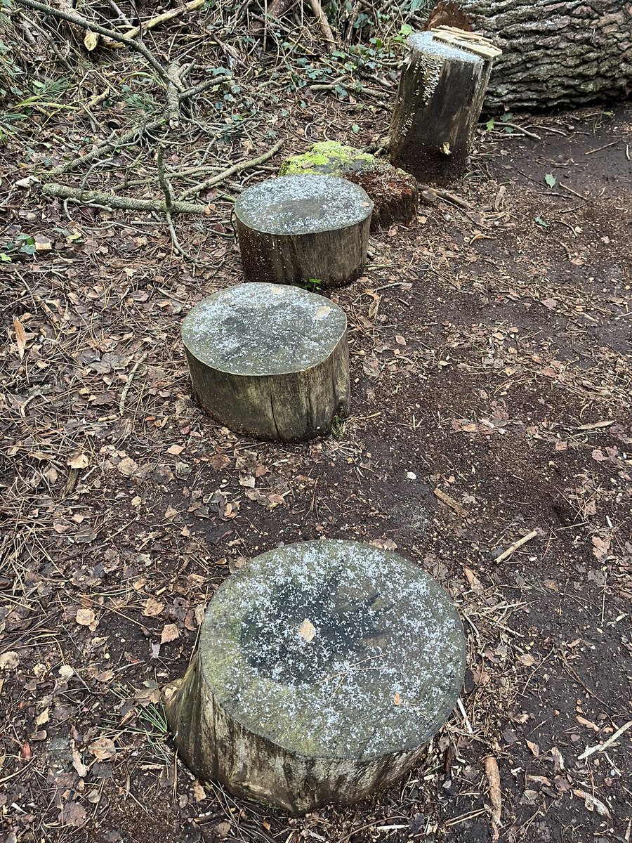 A lovely frosty start in the woods. The fire and steamy mugs of hot chocolate are the order of the day!