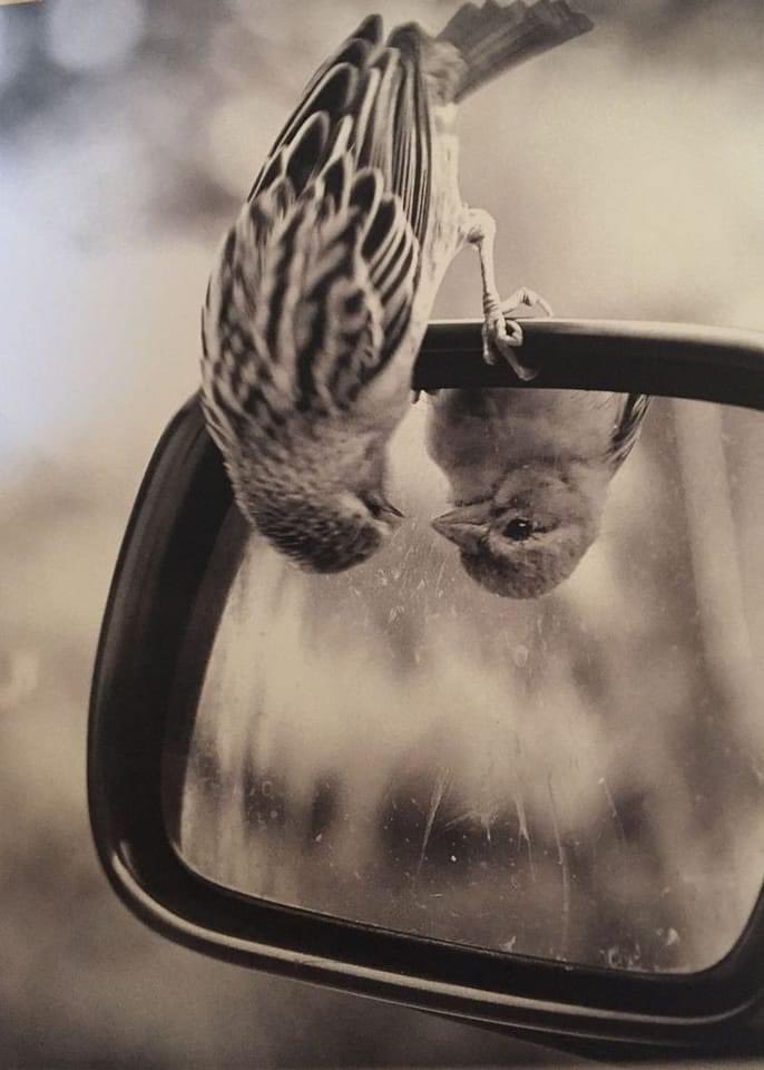 Ve biz... 
Bir kış daha geçireceğiz 
Büyük öfkemizin içinde 
Ve ümidimizin, 
Ateşinde ısınarak...

Nâzım Hikmet