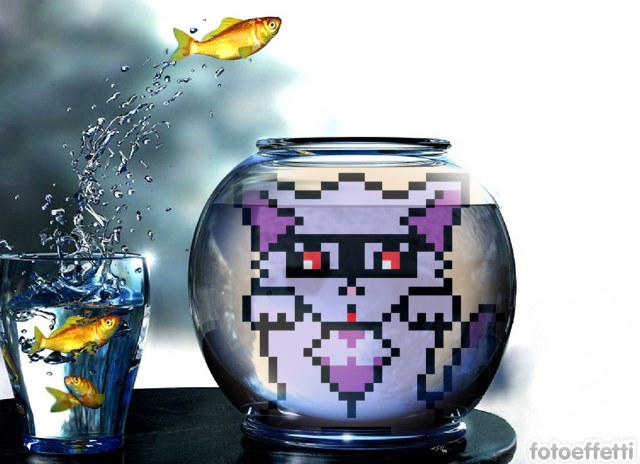 RubyKitties's tweet photo. Save a Kitty 😺
from the metaverse 💖! 

https://t.co/SwFLdZMLkq
10k unique Kitties
Join an accesible and affordable #NFTCommunity 

#rubykitties #NFT #PolygonNFT https://t.co/X5JuK7TVAb