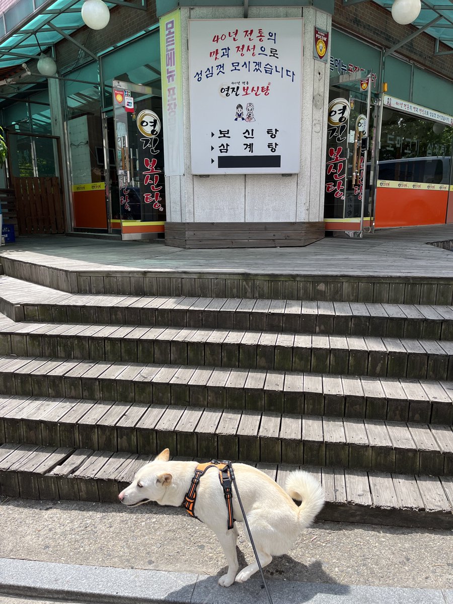 verygodanhada's tweet photo. 요시 https://t.co/8XQA805fHR