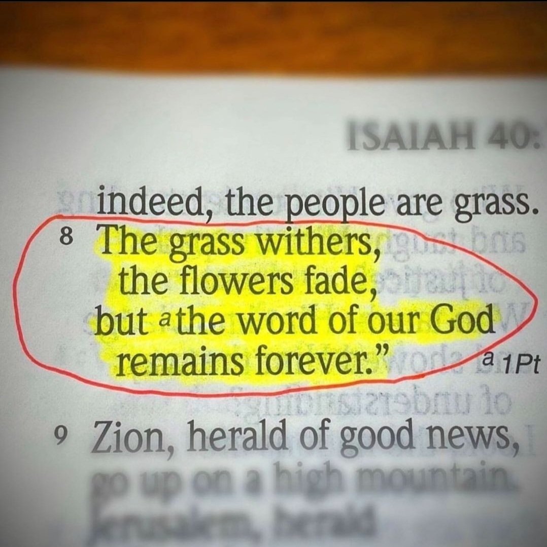 RedPillPrints's tweet photo. #BibleVerse #bibleverses #BibleStudy #wordofGod https://t.co/mmjSqfg9Z1