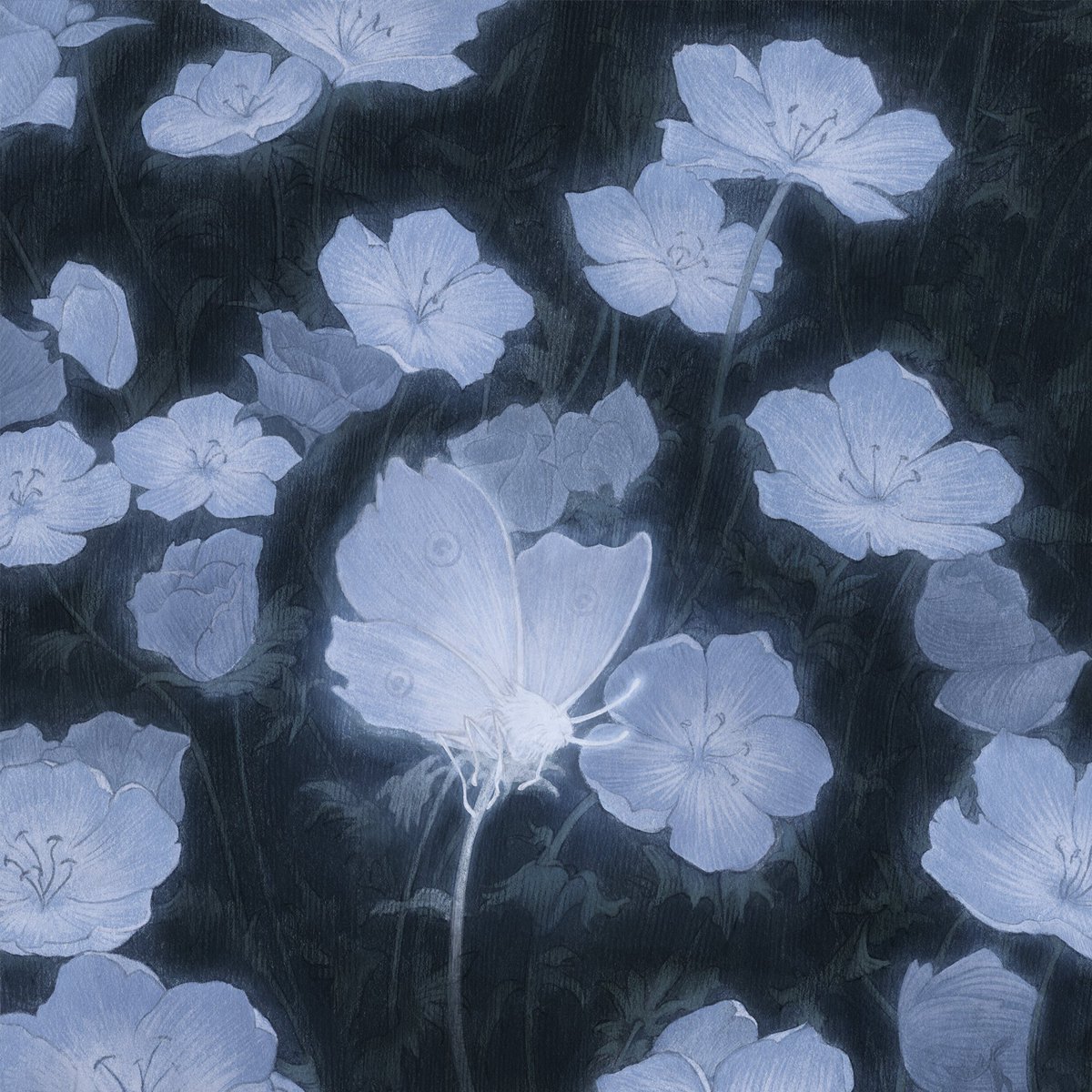 渡赫 (@du_he0) / Posts / X