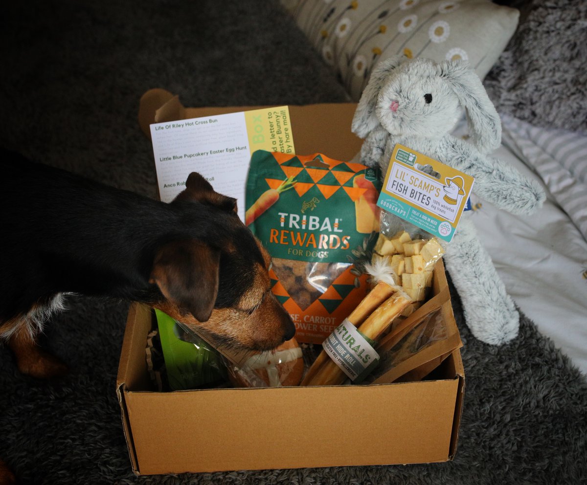 dotty4paws's tweet image. Imagine your #dogs face when they receive their very own #subscriptionbox 

Packed with #natural treats and #sustainable #dogtoys @collarclubsub is available monthly, quarterly or bi-monthly 

SAVE 30% on your first box with CCDOTTY30 

dotty4paws.co.uk/product/collar…

#EarlyBiz #MHHSBD