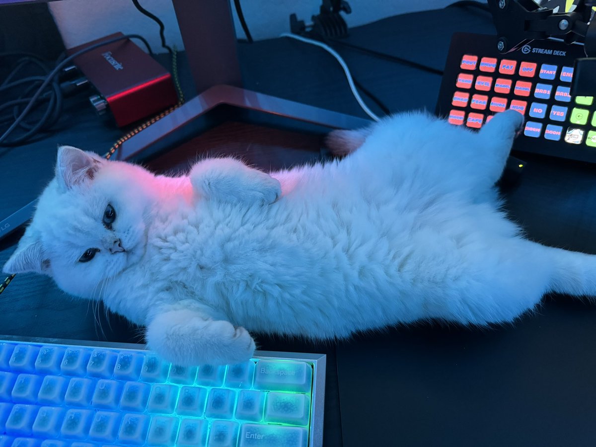 I guess it’s her table now