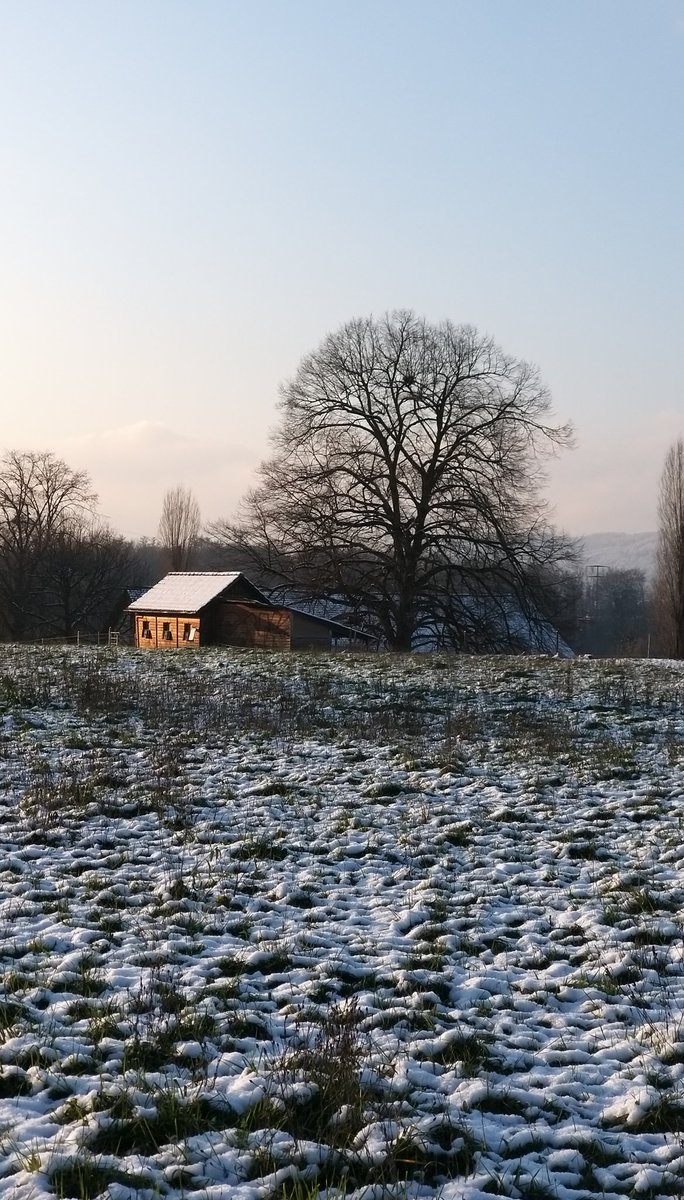 Went for a walk with my dog yesterday. It was icy cold, but now I know where the story arch of a short story I randomly started is going to go. Walking helps those thinks along 😁.
#WritingCommunity #5amwritersclub #scifi #SFF #softscifi #walk