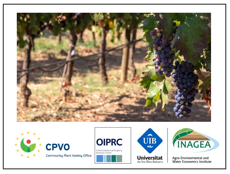 INAGEA-UIB tweet media