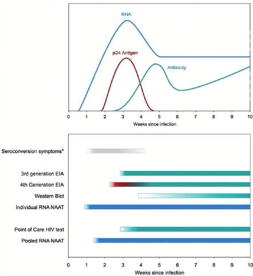 In acute HIV infection:
📌HIV antibodies do not form until several weeks after infection, 
📌whereas HIV viremia and the p24 antigen are detectable much earlier.
3/3

DOI:10.1177/0956462414542987
#Medicine #microbiology