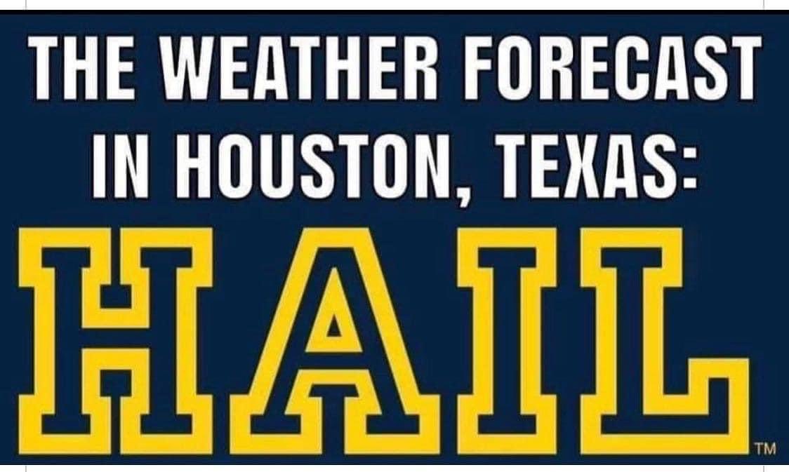 thatBAT's tweet photo. Congratulations 
Michigan Wolverines! https://t.co/gE9UlB14qD