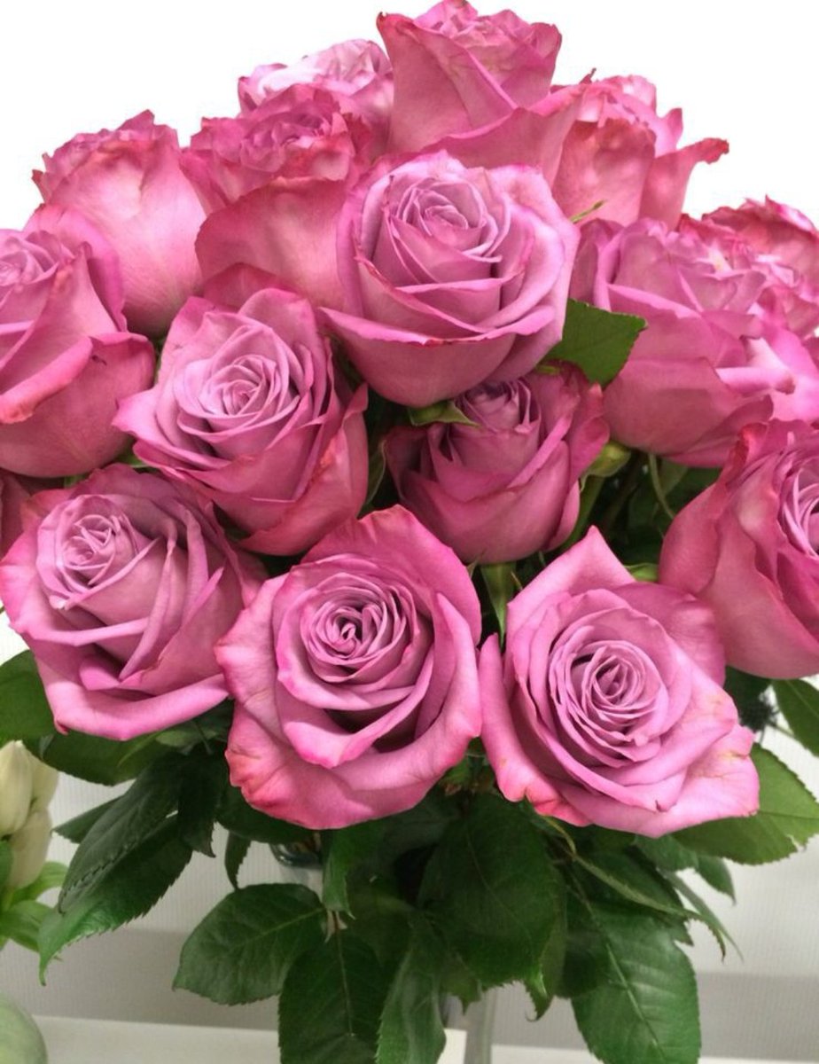 Bu kız beni görmeli 
Muradına ermeli artık ⚘️🙏🦋🐞🍀🌿💍✉️🕊