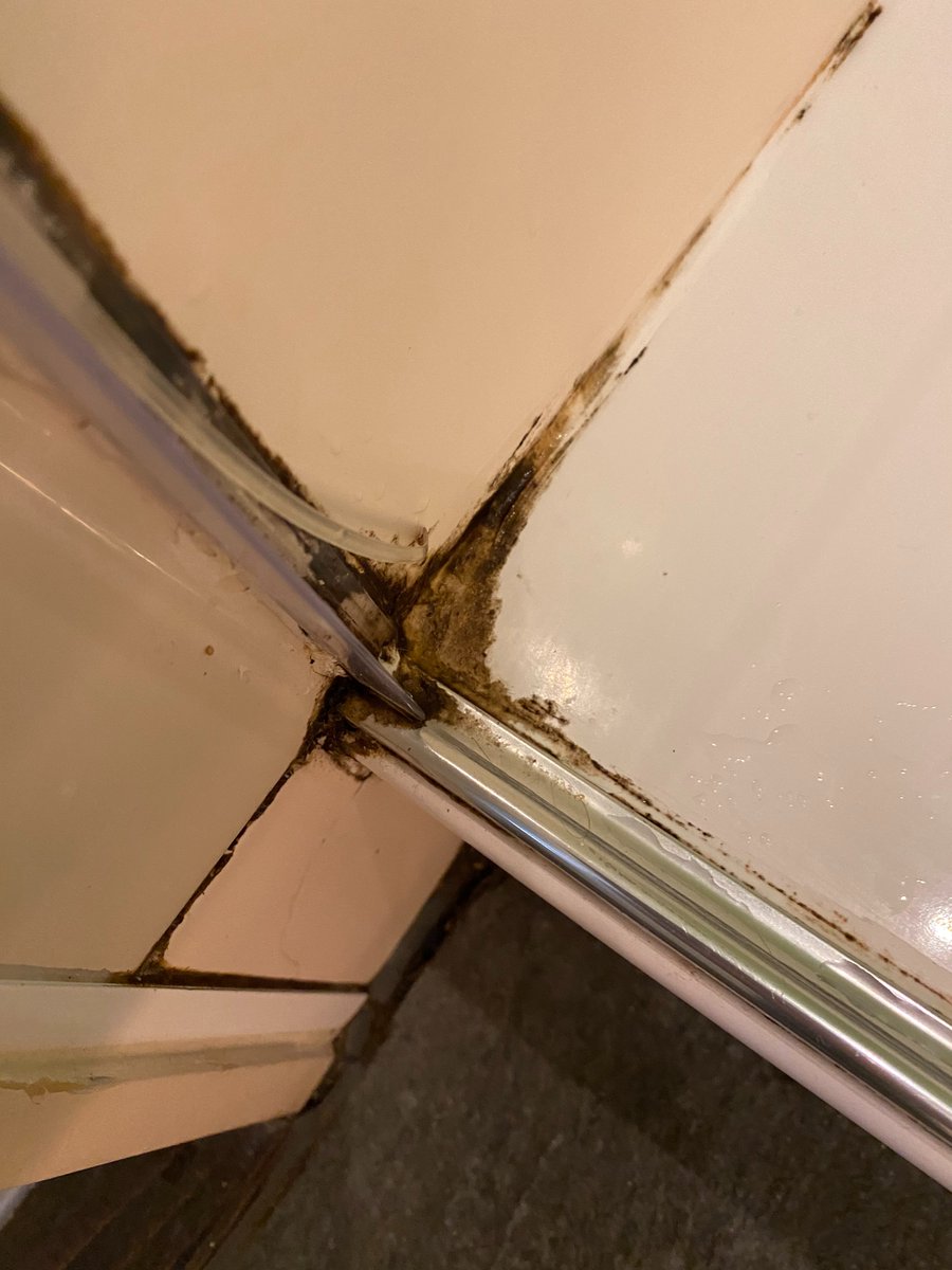 johnfhall's tweet photo. @premierinn do you consider this mould in in our room in the Edinburgh Royal Mile shower acceptable? And don't ask me to DM you as I have got a response from your X account which says it is a 'local hotel issue' and their email bounces. https://t.co/fbN0kOaU5w