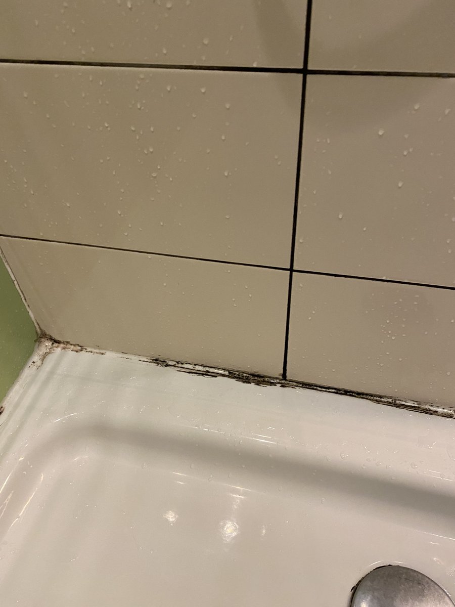 johnfhall's tweet photo. @premierinn do you consider this mould in in our room in the Edinburgh Royal Mile shower acceptable? And don't ask me to DM you as I have got a response from your X account which says it is a 'local hotel issue' and their email bounces. https://t.co/fbN0kOaU5w