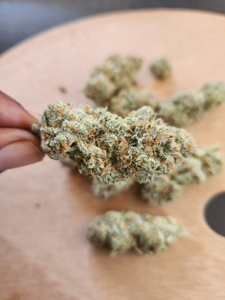 ATC420Official's tweet photo. New Strain Alert " FlapJacks "
Ferndale Randburg and surrounding areas.
Whatsapp 061 718 1830 for menu and orders.
Collections and Uber Connect.
Hubbly | #Nobuntu | Cape Independence | Lizzy | NSFAS | Mr Kgomo |Pitso | Zuma | Woolworths| Big Sean https://t.co/v5fQ3MOR7T