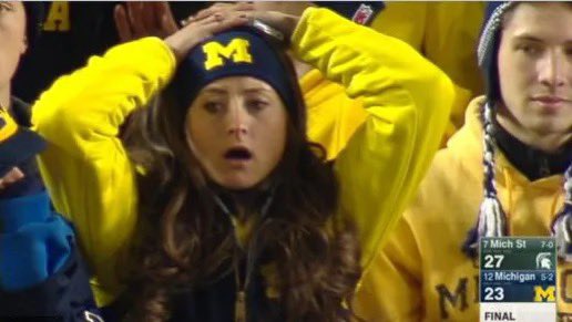 Ammar Safdari tweet media